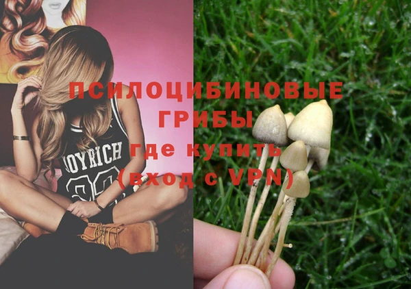 спиды Абдулино