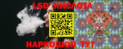 PSILOCYBIN Кинель