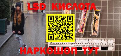 PSILOCYBIN Кинель