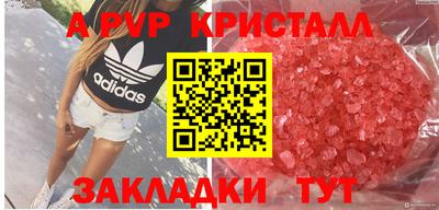 PSILOCYBIN Кинель