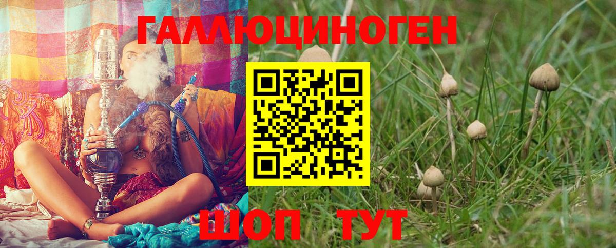 Галлюциногенные грибы прущие грибы  где продают наркотики  Людиново  Галлюциногенные грибы Magic Shrooms  Вход с VPN 