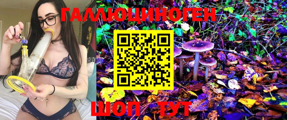 Псилоцибиновые грибы Psilocybine cubensis Людиново